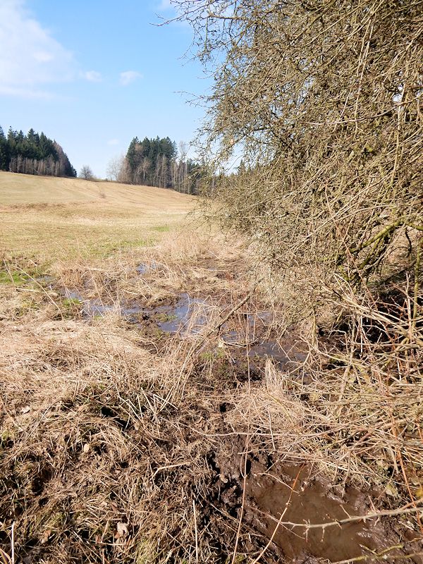 prameniště Na Dostálově (9583)