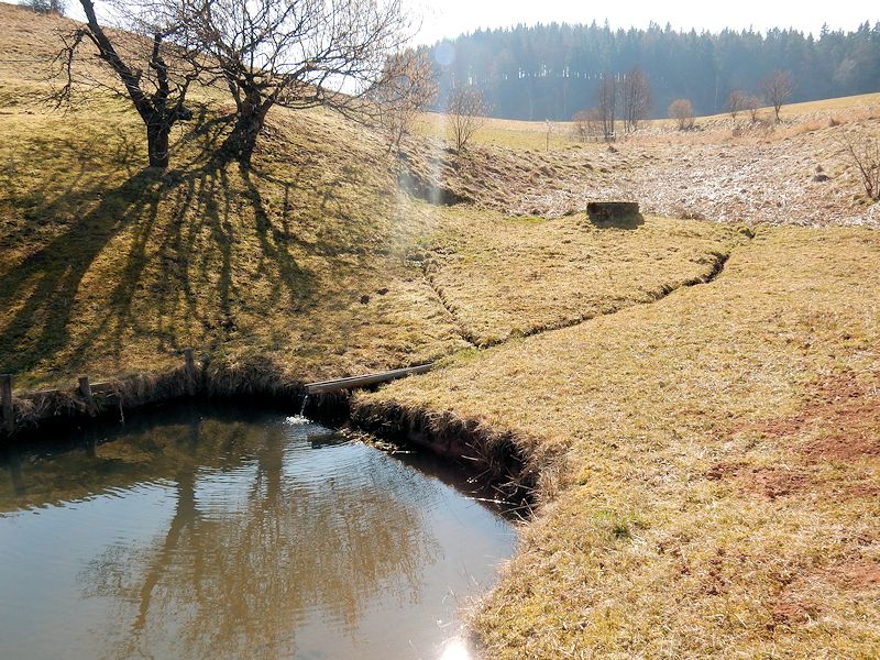 pramen Nad rybníčkem (9584)
