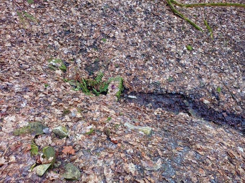 studánka Libušina (9593)