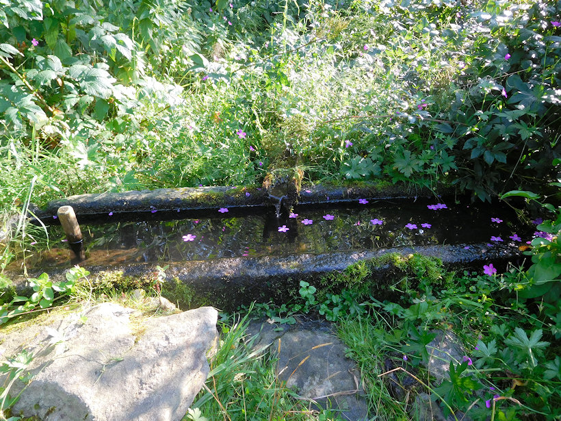 studánka U Lejsků (9614)