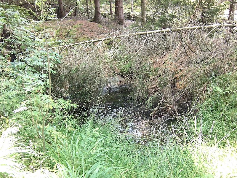 studánka Pod Sedlem (9615)