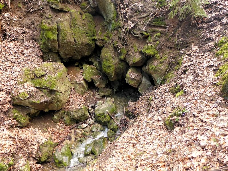 Rachavská vyvěračka (9616)