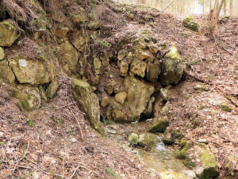 vyvěračka Andělička (9617)