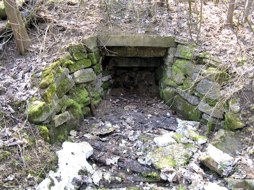 studánka U Zdounecké střelnice (9620)