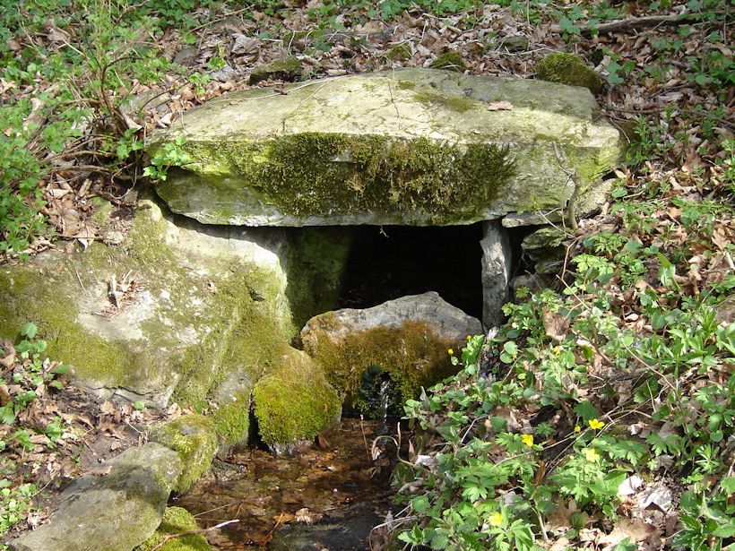 studánka Pod skálou (9621)