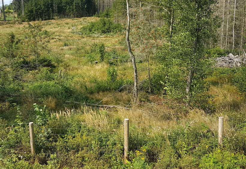 studánka Bezdíkov (9626)