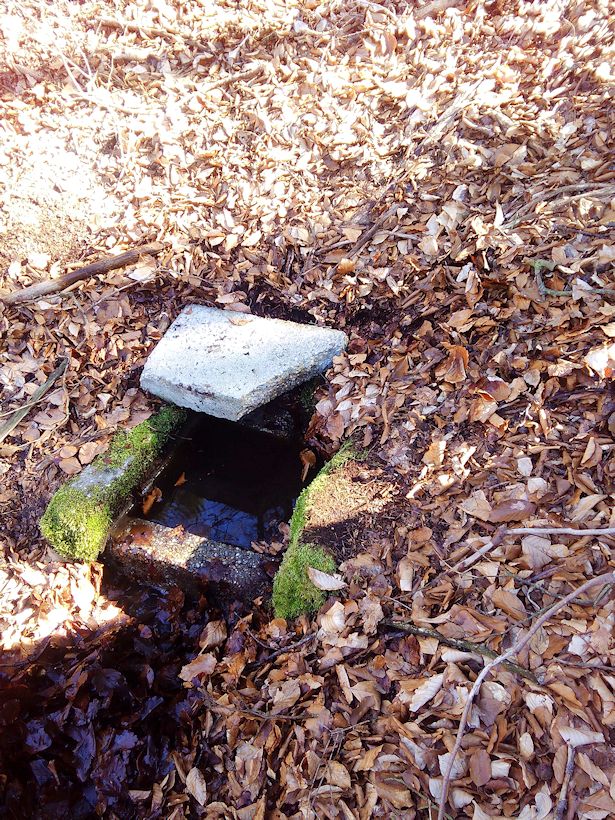 studánka Veselá (9637)