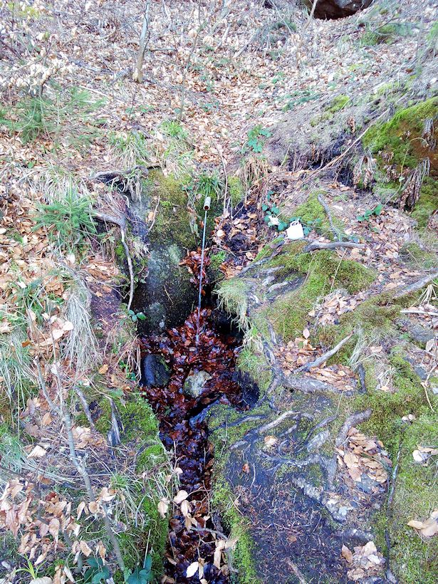studánka Letitá (9638)