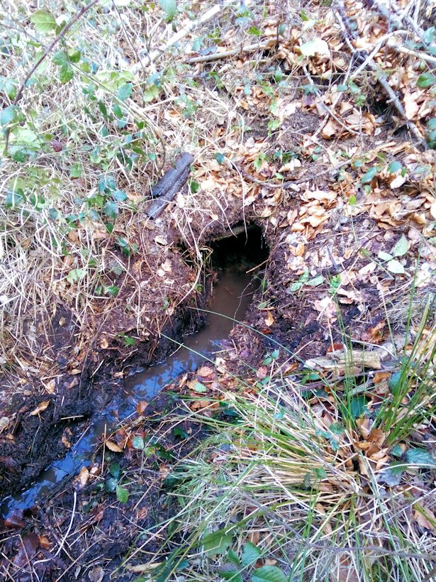 studánka V Laholi (9639)