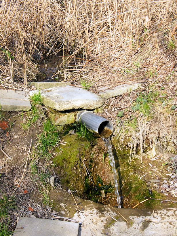studánka bez jména (9649)