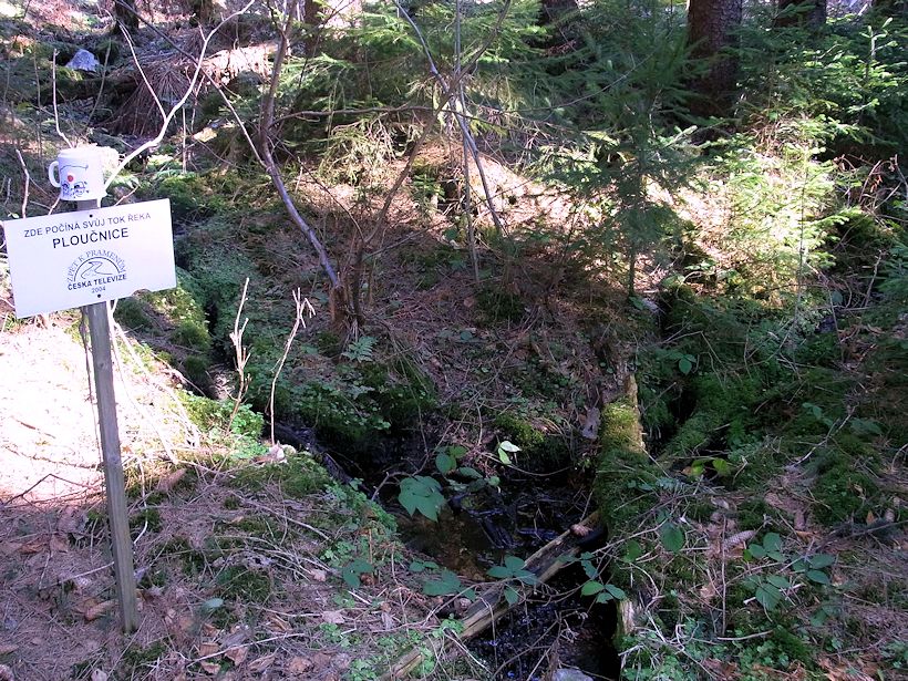 prameniště Horní Ploučnice (9650)