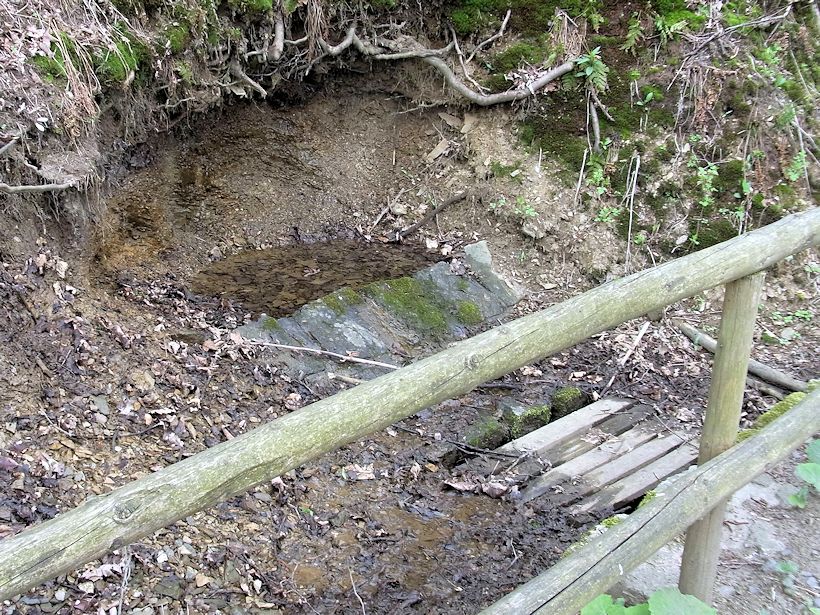 studánka U Dolních Plání (9655)