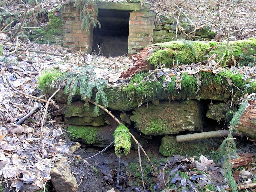 studánka U Padařovic (9658)