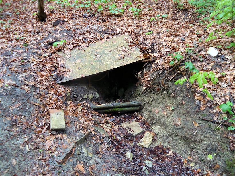 studánka Kameňák (9661)