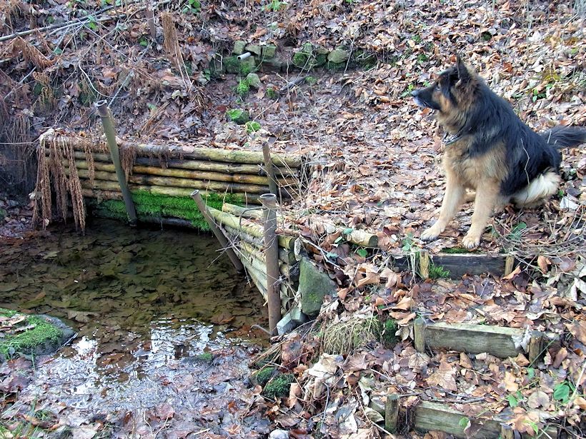 studánka U Bystré (9667)