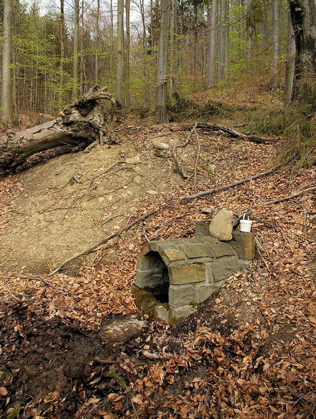 studánka V Dubníku (9678)
