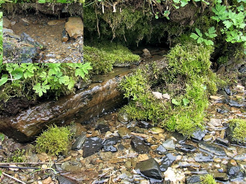 pramen U Padouchova (9679)
