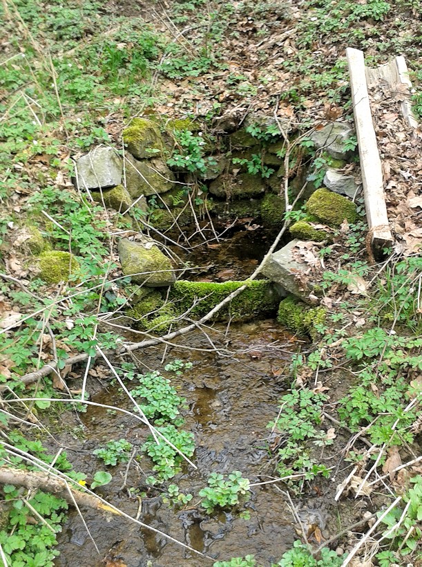 studánka Na Bělici (9694)