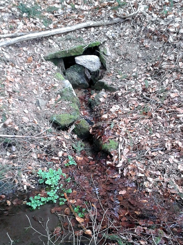 studánka U Vlků (9695)
