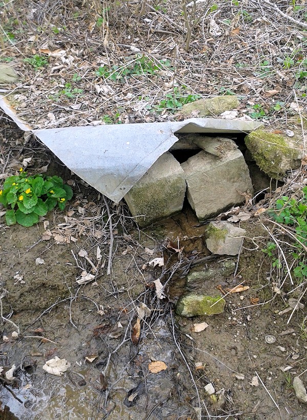 studánka Na Mostovně (9697)