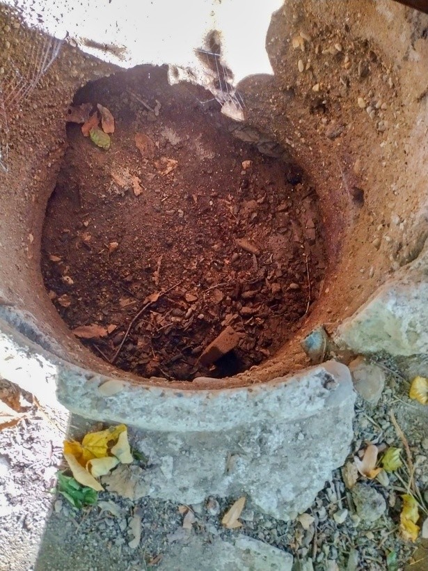 studánka bez jména (9703)