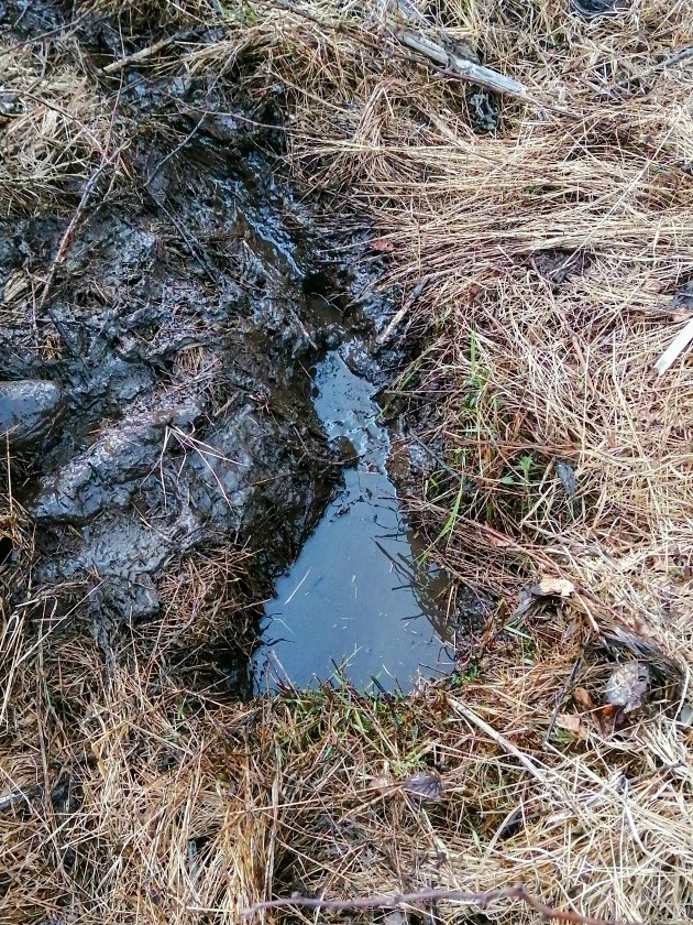 pramen Na Příčkách (9718)
