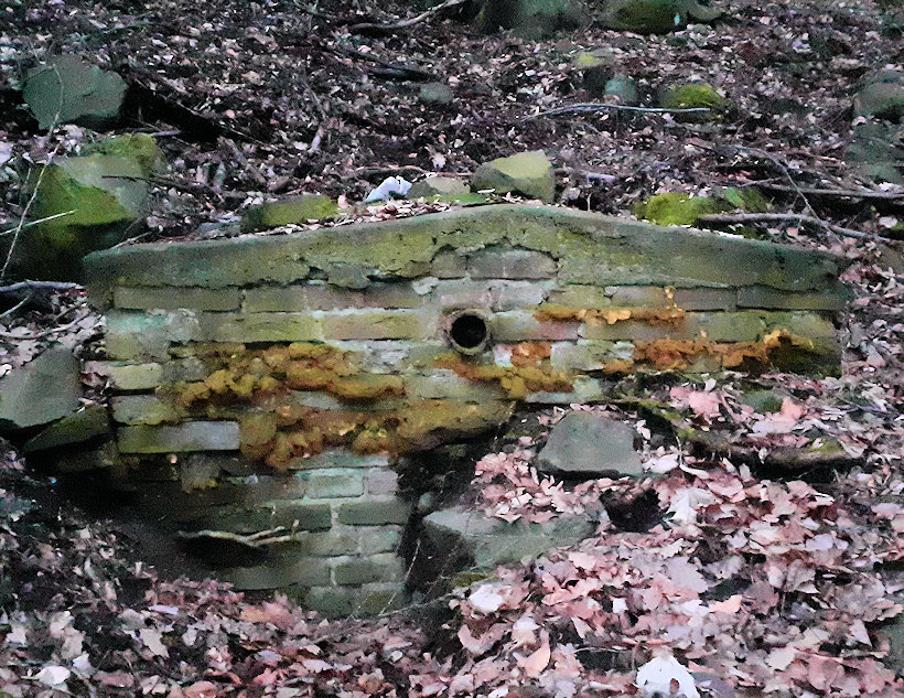 studánka Nad Vaňovem (9720)