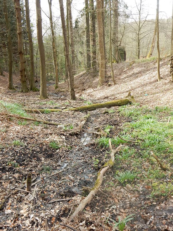 pramen Nad Německými loukami (9732)