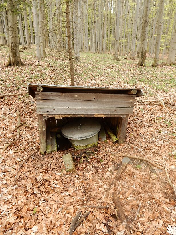 Homolská studánka (9734)