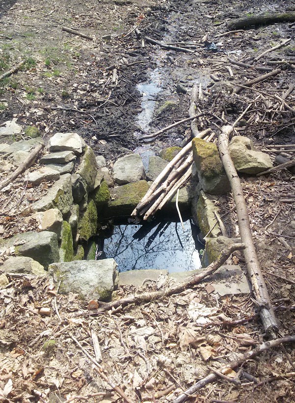 studánka Pod Kuželkem (9739)