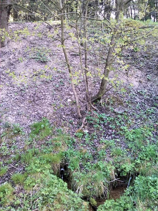 studánka Na volavkách (9754)