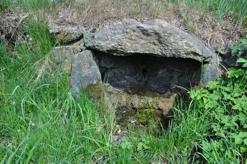 studánka U břízy (9761)