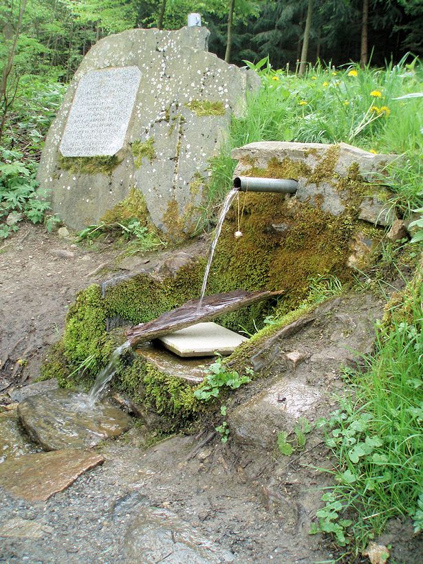 studánka U Libuňského splavu (9769)