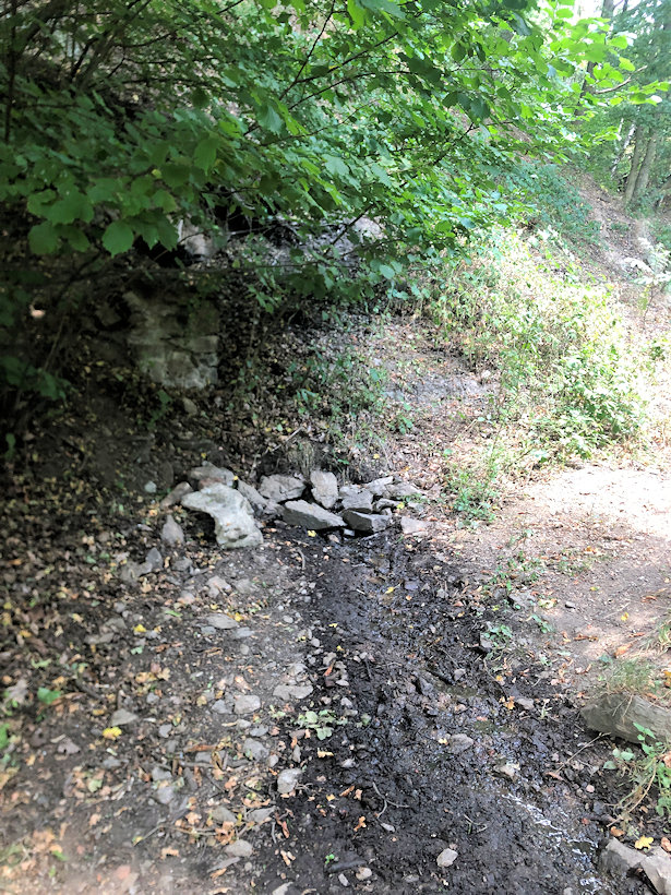 pramen Pod Zaječákem (9778)