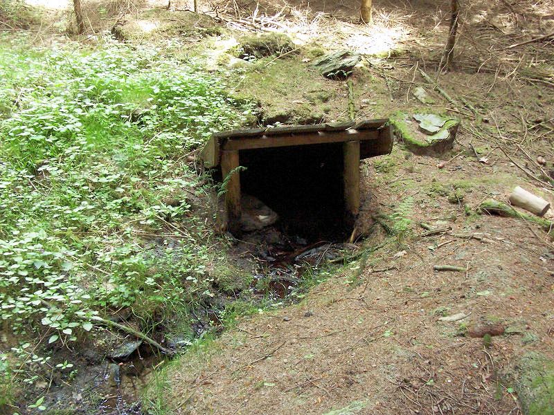 Keltská studánka (9780)