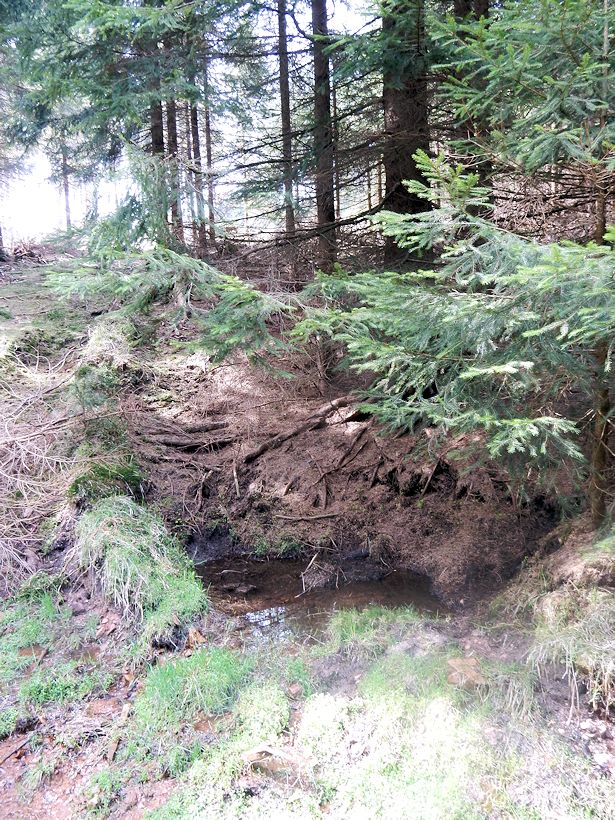 pramen Nad cestou (9783)