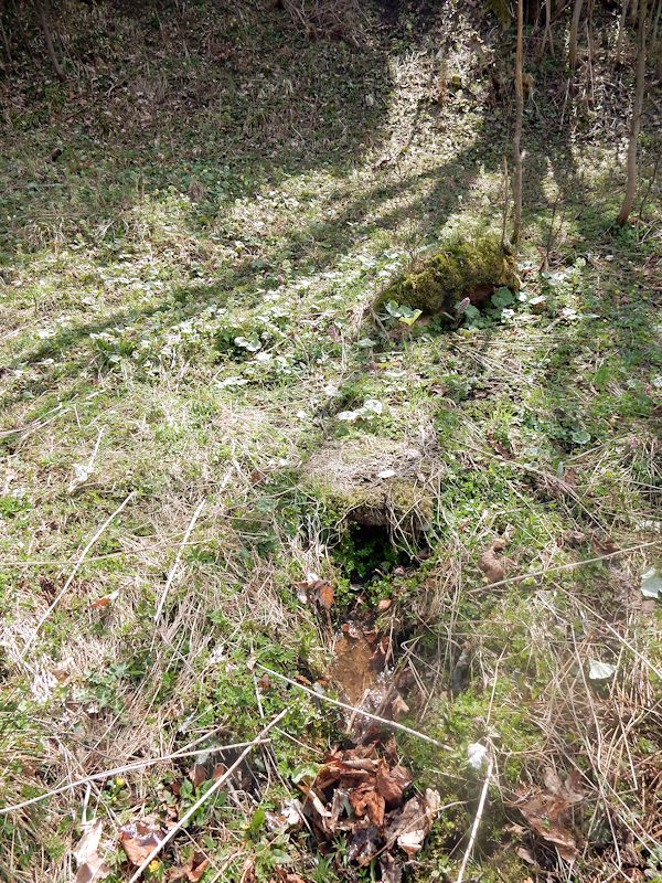 studánka Pod lomem (9786)