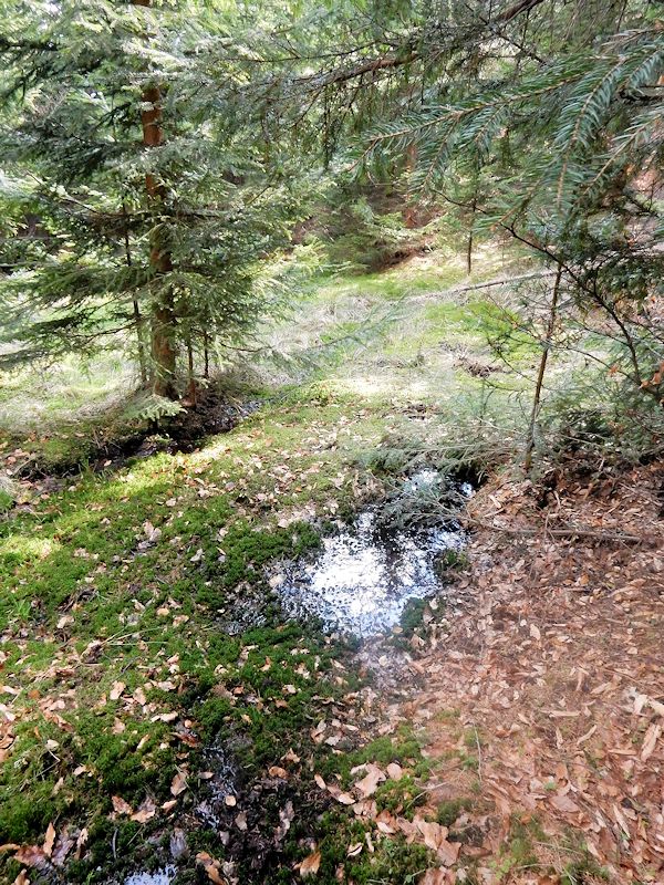 prameniště U milířů 2 (9792)