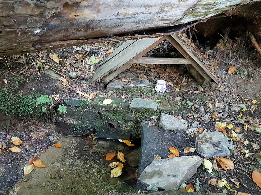 studánka bez jména (9830)