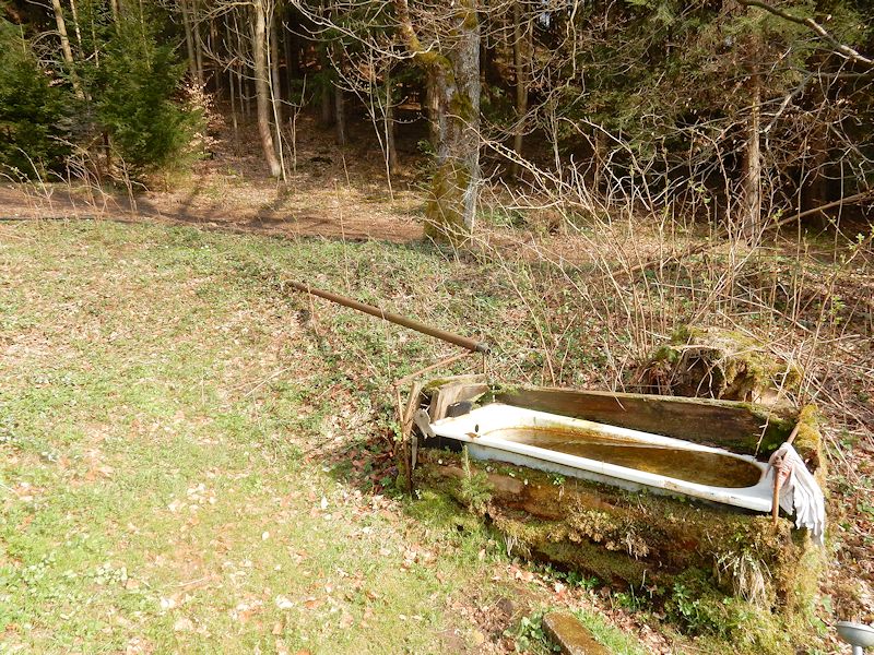 jiný vodní zdroj U hřbitova (9843)