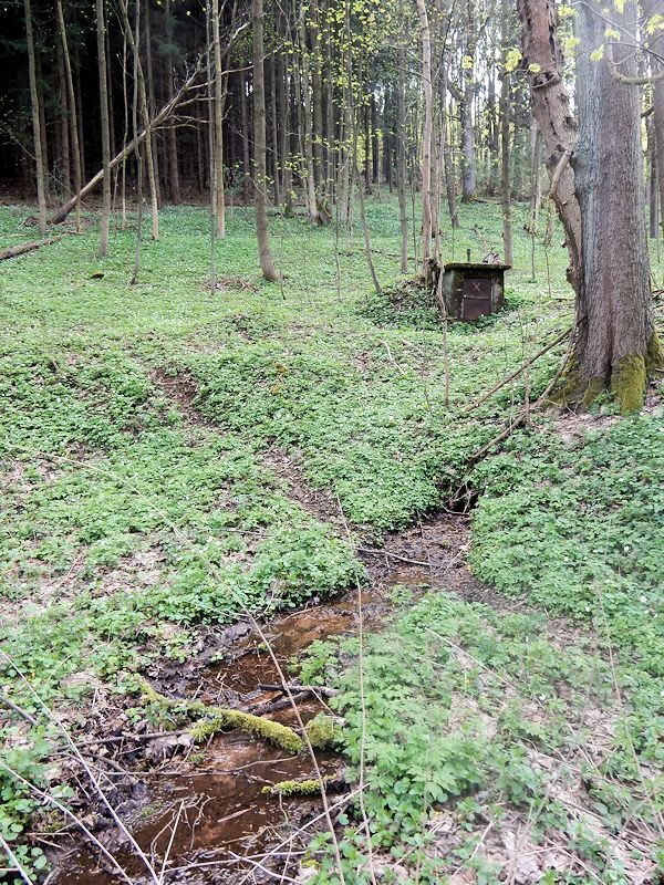 pramen Pod silnicí (9844)