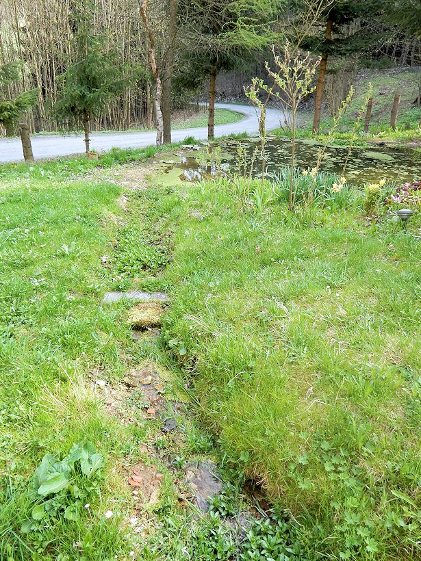 pramen Nad rybníčkem (9846)