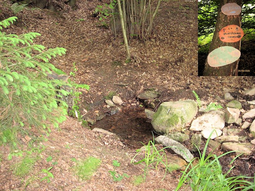 studánka Za Slavíkovou loukou (9852)