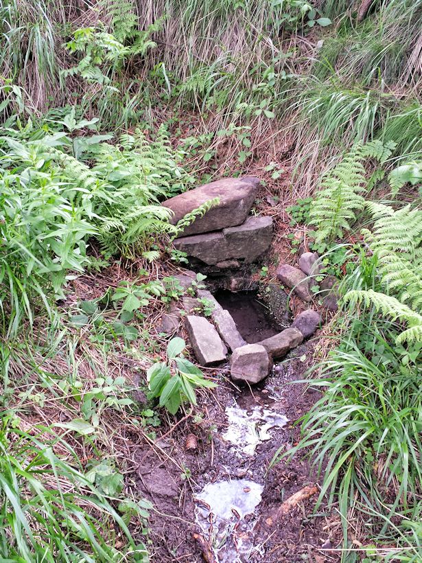 studánka V Tanečnici (9857)