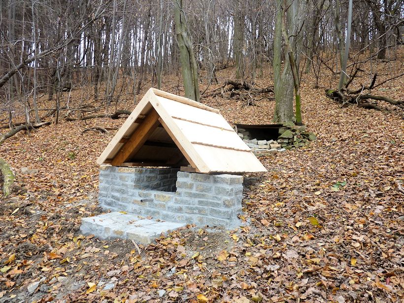 studánka Pod Kocůrkama (9860)