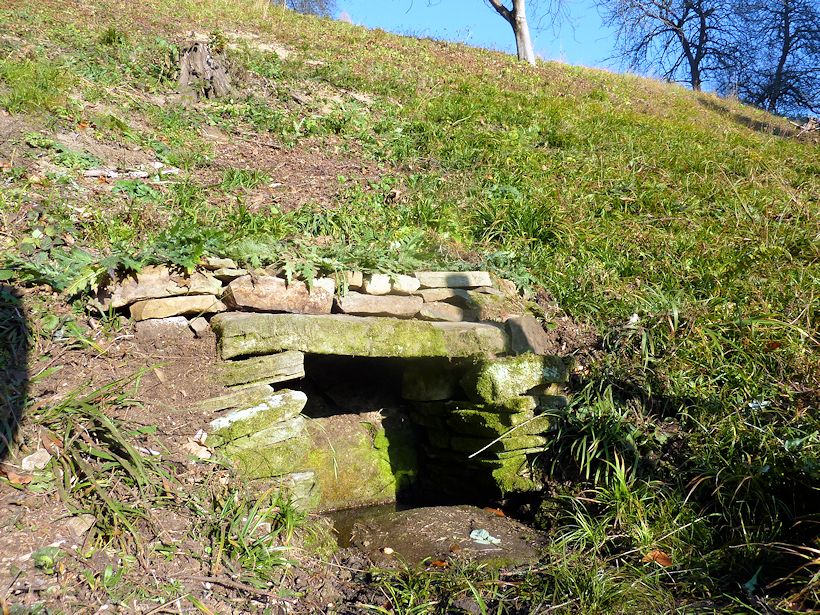 studánka Pod Nedbálkama (9861)