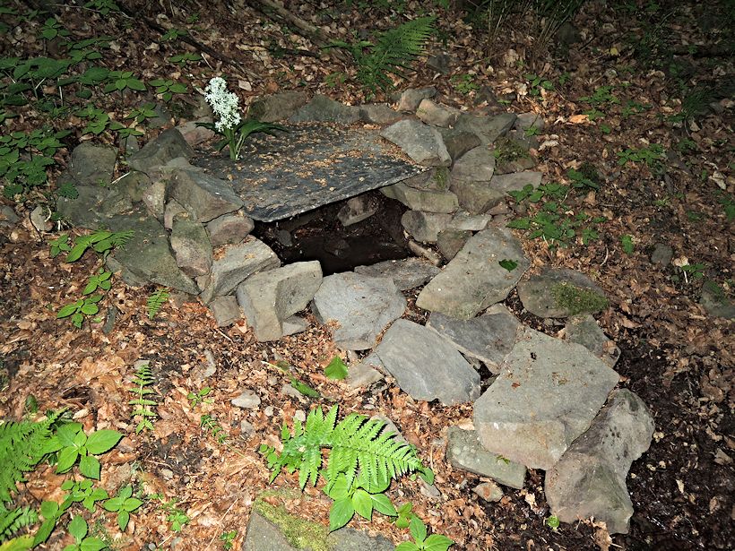 studánka U česneku (9868)
