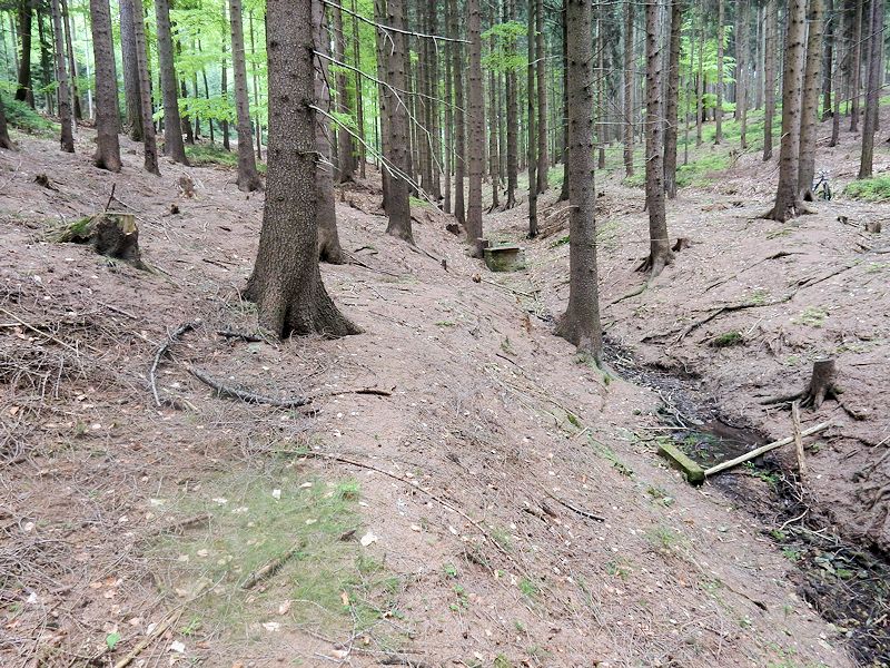 studánka Bílý potok (9870)