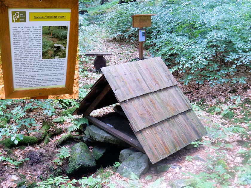 studánka Studená voda (9874)