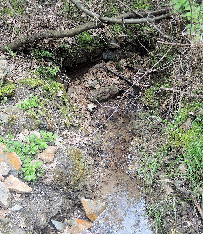 studánka Pod Kozími hřbety (9882)